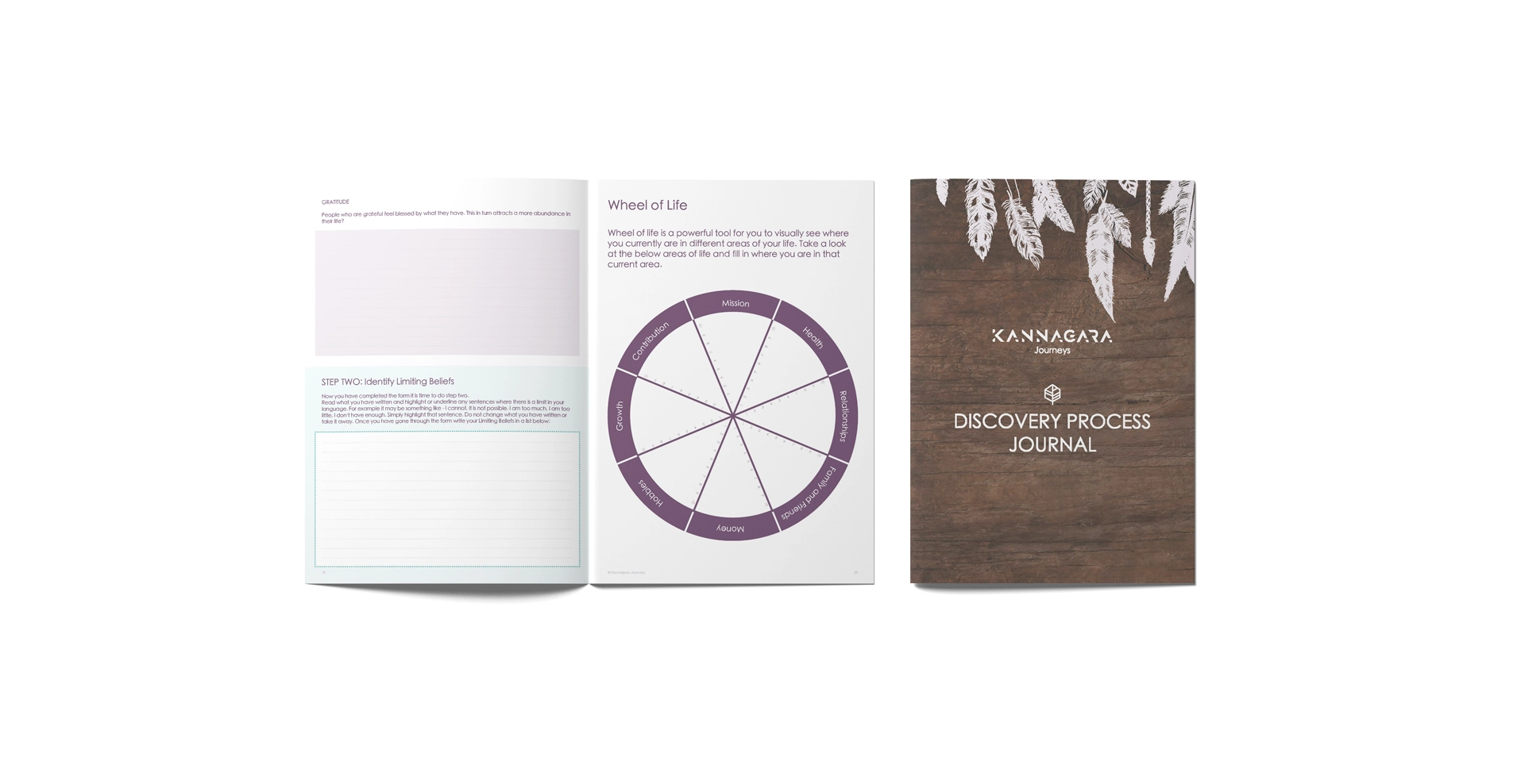 Discovery-Process-Journal